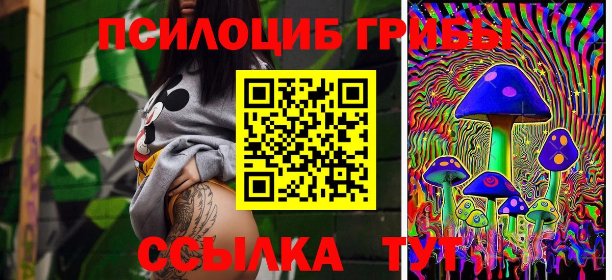 Галлюциногенные грибы мицелий  Псилоцибиновые грибы прущие грибы  Буйнакск  Вход с VPN 
