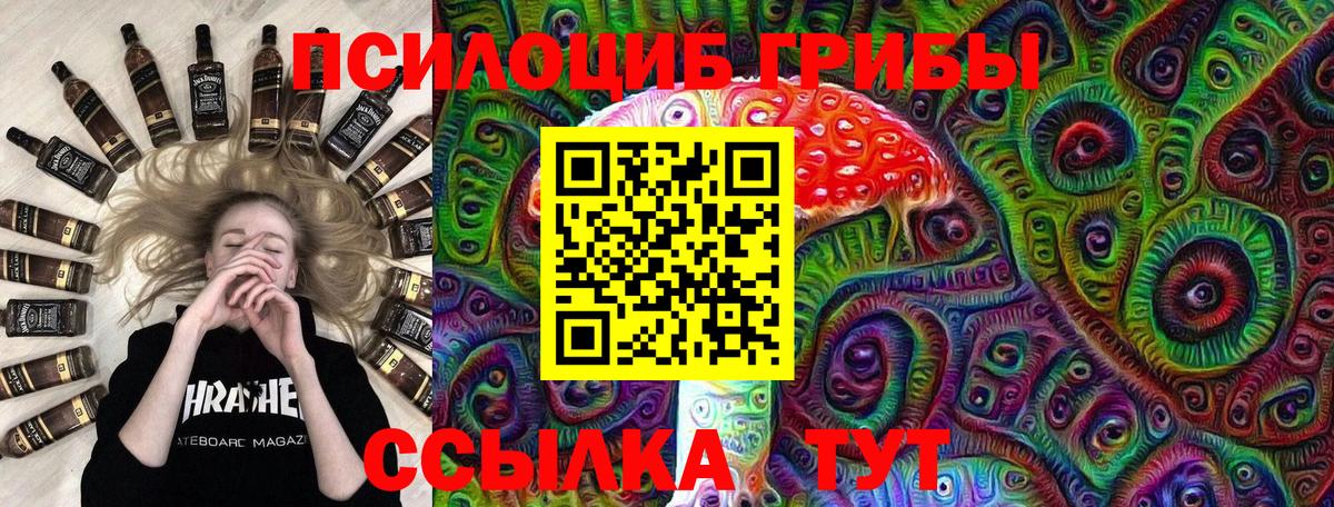 Псилоцибиновые грибы прущие грибы Буйнакск